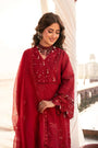 3 Piece Embroidered Cotton Net Suit