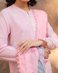 3 Piece Embroidered Lawn Suit