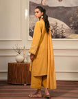 2 Piece Embroidered Khaddar Suit