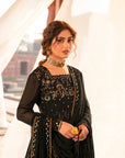 3 Piece Embroidered Chiffon Suit