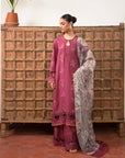 3 Piece Embroidered Karandi Suit